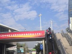 -国际邮轮中心码头(厦鼓码头)