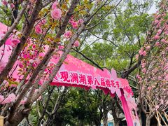 -观澜湖生态运动公社