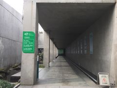 门面-中国湿地博物馆