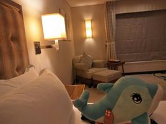 -惠州康帝国际酒店