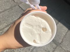 -洪馨椰子