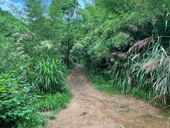-莫干山风景区