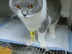 -联合动物医院(光谷诊疗中心)