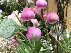 -谷莠子花艺气球派对·绿植造景·花艺沙龙(东海缤纷天地店)