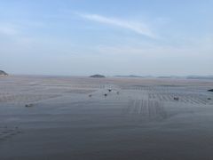 -北岐滩涂