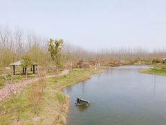 -合肥滨湖国家森林公园