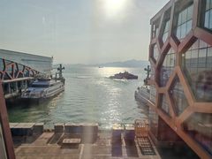 -招商蛇口邮轮母港(观光客运)
