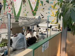 -绿壁虎攀岩基地(Tcar店)
