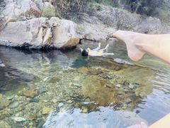 -北仑森林植物园