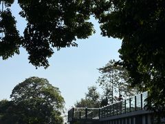 -黄埔油麻山森林公园