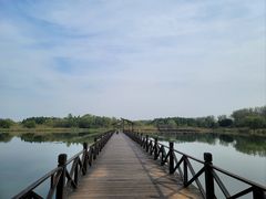 -溱湖国家湿地公园