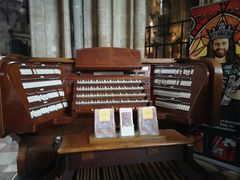 -斯蒂芬主教座堂(Stephansdom)