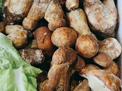 -菌之家·专业纯野生菌火锅·特色炒菌