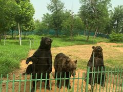 -秦皇岛野生动物园