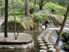 -牛背梁国家森林公园