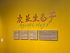 -chi K11艺术空间展览厅