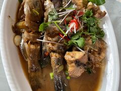 杂鱼锅-鸿运美食府