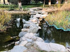 -木塔寺遗址生态公园