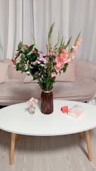 -艺佳舞蹈培训学校