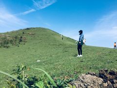 -大姆山草场