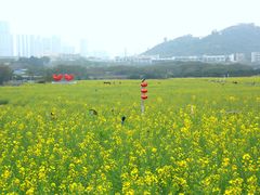 -光明小镇欢乐田园