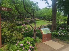 -上海滨江森林公园