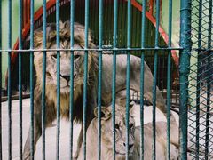 -荆州中山公园动物园