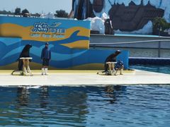 -秦皇岛乐岛海洋王国