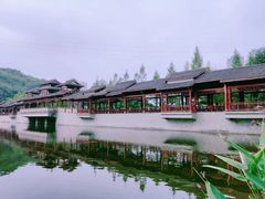 -重庆彩云湖湿地公园