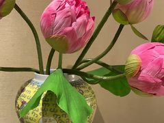 -宫事颐庭·老佛爷贵寿下午茶(颐和园店)