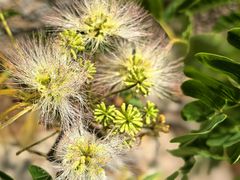 -崂山九水游览区