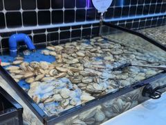 -川骄海鲜自助(河东店)