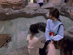 -杭州海底世界