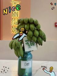 -克丽缇娜