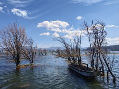 -洱海月湿地公园