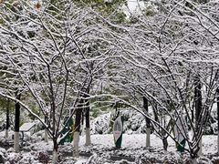 -半秋山西餐厅(襄阳万达店)