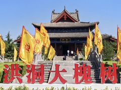 -大槐树寻根祭祖园
