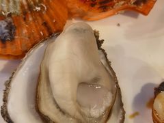 -土蚝·高压锅生蚝(百姓美食街店)