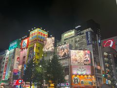 -秋叶原电器街
