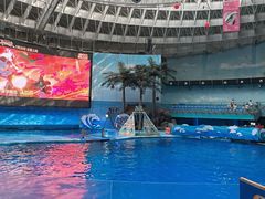 -成都浩海立方海洋公园
