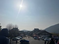 -大唐贡茶院