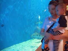 -华夏文旅海洋公园