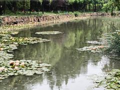 -大宁公园