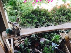-海边的猫和咖啡馆