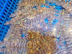 -三个渔夫·蒸汽海鲜(小白楼店)