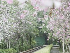 -深圳欢乐谷