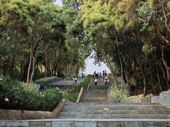 -深圳国际园林花卉博览园