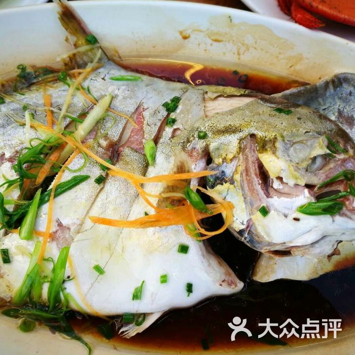 苏先生海鲜渔庄酱油水野生竹甲鱼图片-北京海鲜-大众点评网