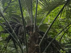 -通灵大峡谷
