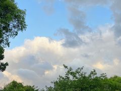 -阳台山森林公园
